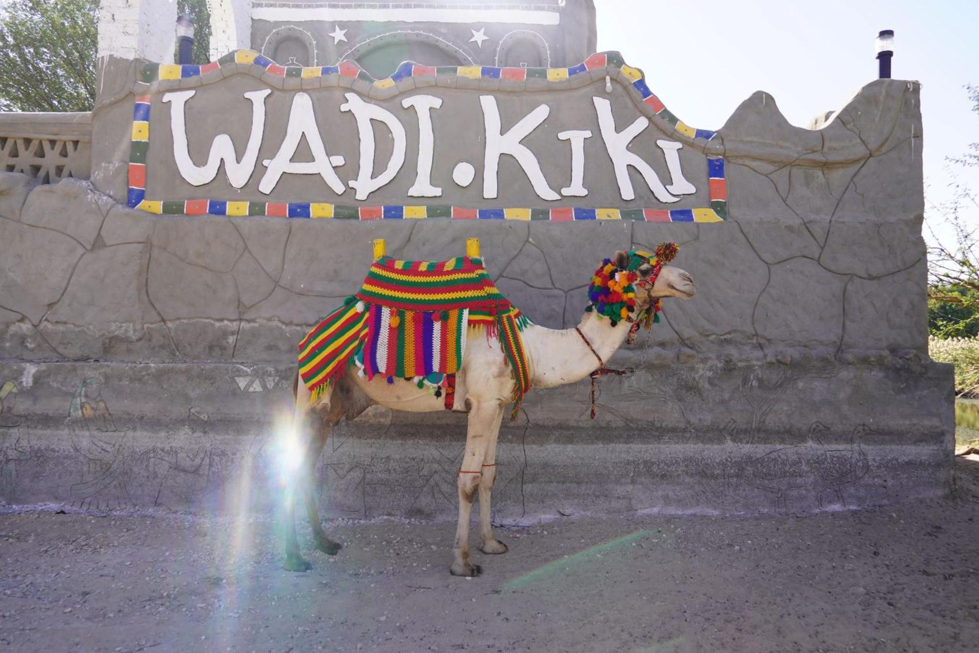 Artika Wadi Kiki Hotel Aswan Bagian luar foto